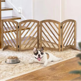 Pets Bed & Furniture