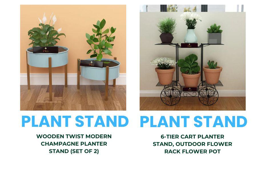 Display Your Green Beauties with Style: Plant Stand — WoodenTwist