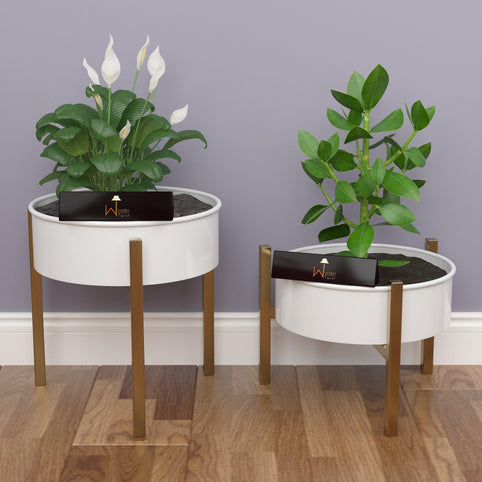 Elevate Your Space with the Modern Champagne Planter Stand (Set of 2)