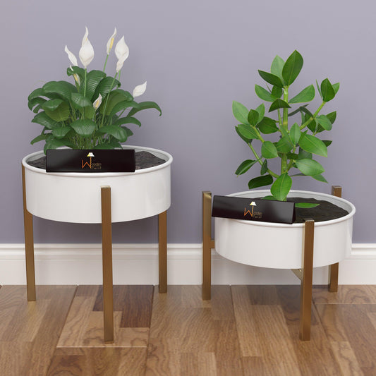 Elevate Your Space with the Modern Champagne Planter Stand (Set of 2)