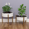Wooden Champagne Plant Stands: The Perfect Addition to Your Balcony Garden