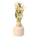 Lea Dried Yellow Delight small vase - WoodenTwist
