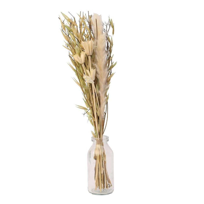 Liliana Dried Floral Bunny Tail (small) - WoodenTwist