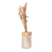 Giovvani Dried Floral with Lemongrass Aromati Diffuser - WoodenTwist