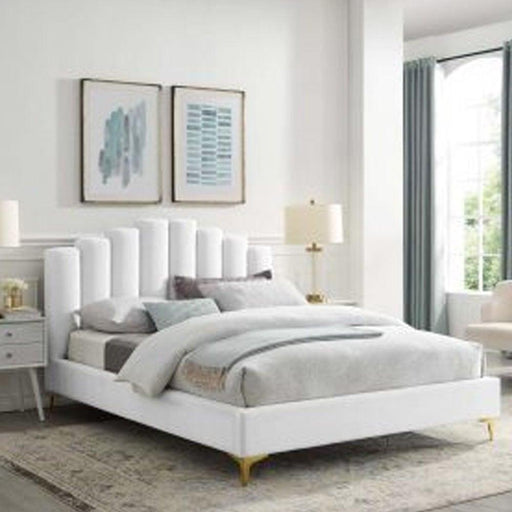 Wooden Twist Olivia Velvet Upholstery Rectangular Bed Modern Luxury Bed Frame with Stylish Design - WoodenTwist