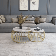 Wooden Twist Sylena Round Coffee Table with Marble Top-Like Finish for Modern & Elegant Living Room ( Set of 2 ) - WoodenTwis