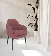 Modern Dining Chair 