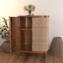 Rattan Rosewood Door Cabinet