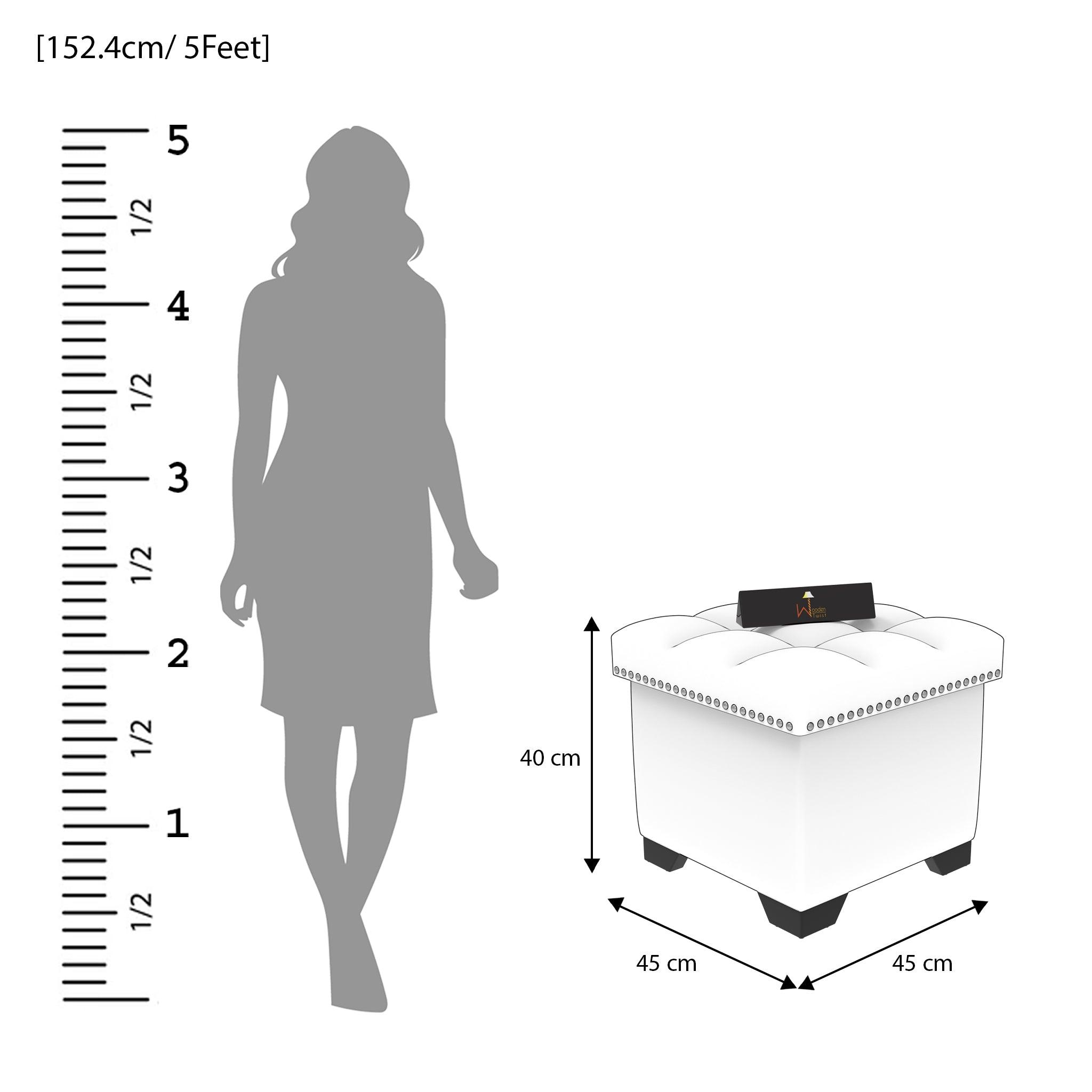 Eccentric Stool Cum End Table with Storage - WoodenTwist