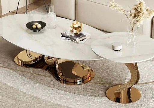 Luxurious Oval Centre Table Set of 2 with Marble Top