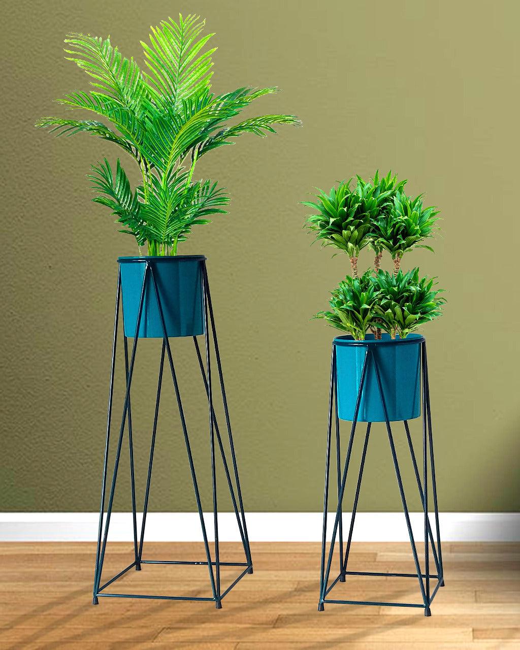 Blue and Black Diamond Planters