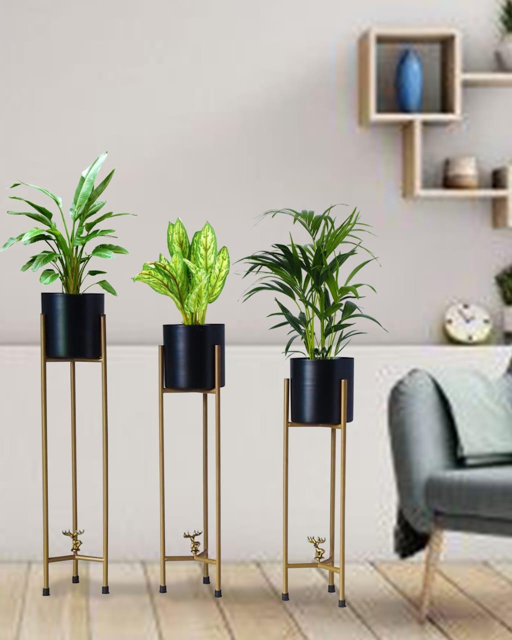 Blue and Black Diamond Planters