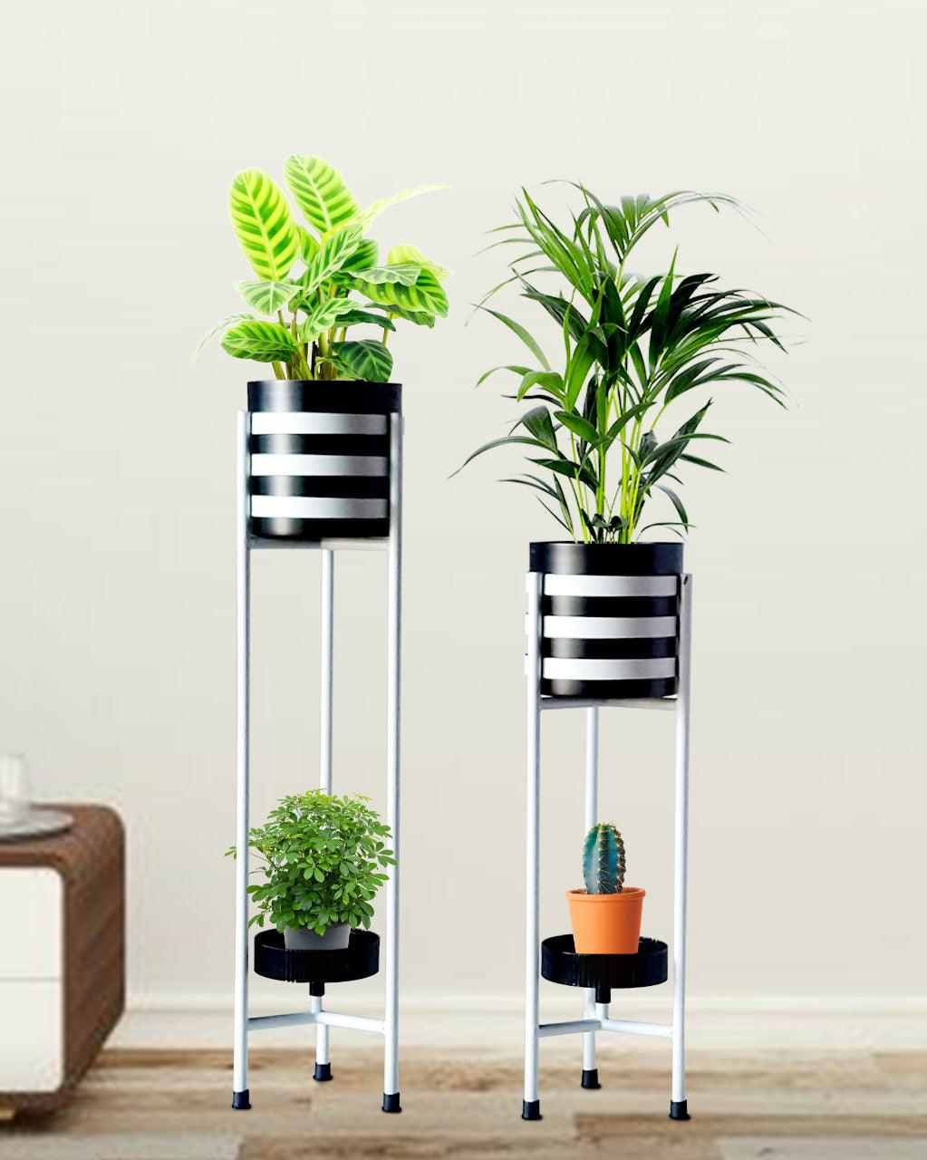 White and Black Stylish Planters