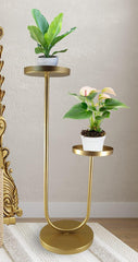 Golden Planter with Double Plate