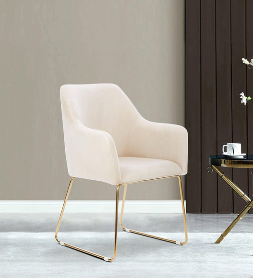 MSEA DINING AND ARM CHAIR OFF WHITE WITH GOLD - WoodenTwist