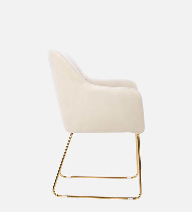 MSEA DINING AND ARM CHAIR OFF WHITE WITH GOLD - WoodenTwist