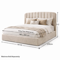 Modern Bed