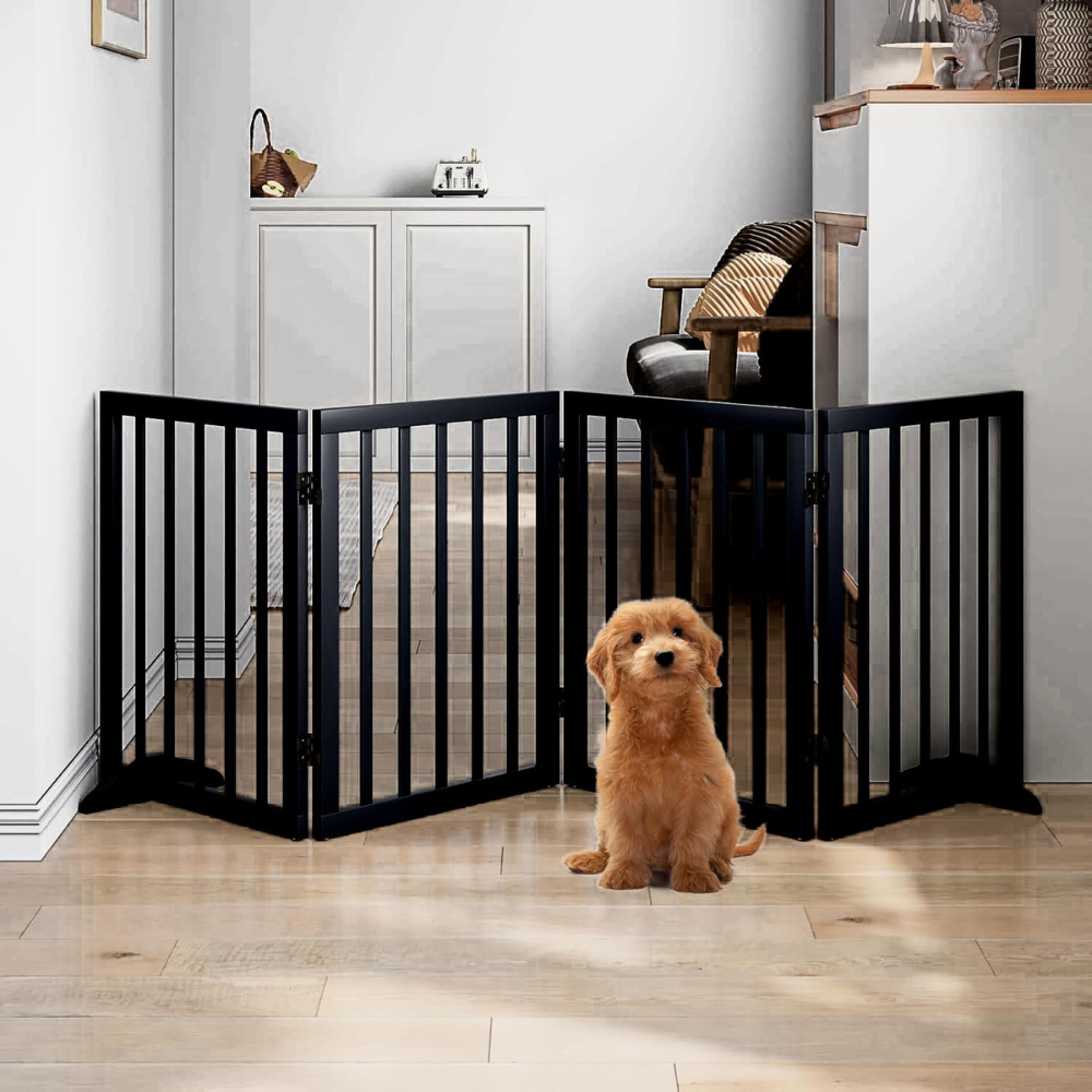 Pets Bed & Furniture