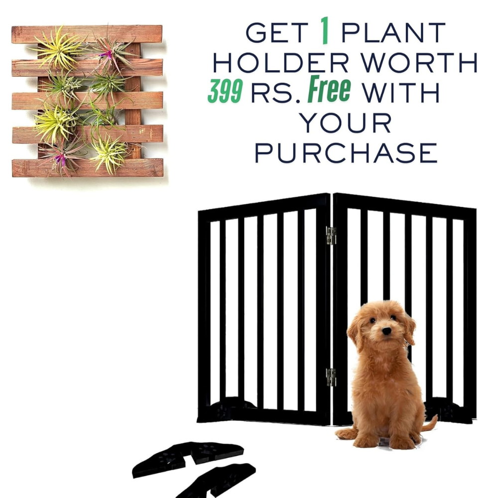 Pets Bed & Furniture