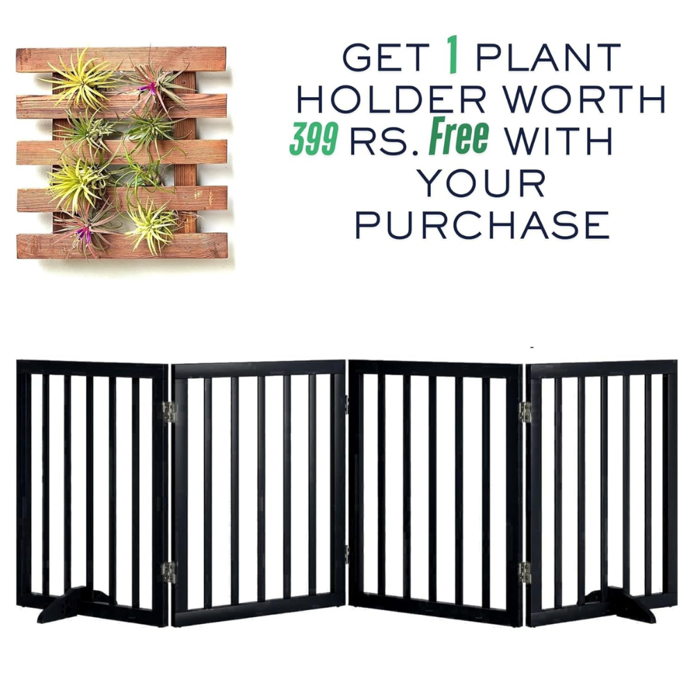 Pets Bed & Furniture