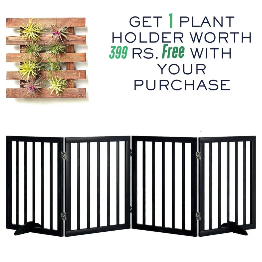 Pets Bed & Furniture