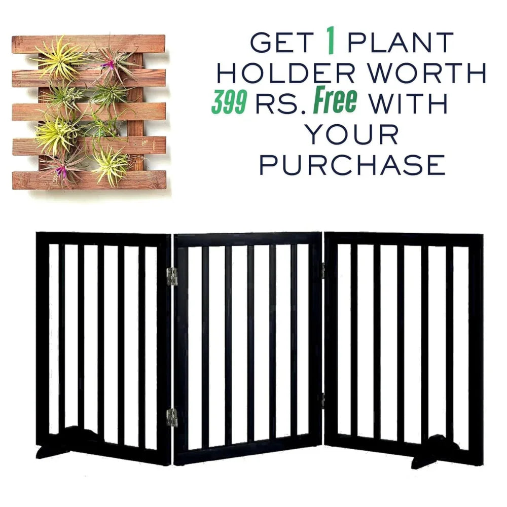 Pets Bed & Furniture