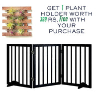 Pets Bed & Furniture