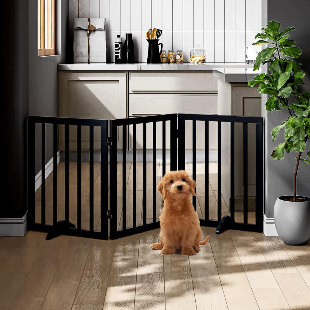 Pets Bed & Furniture