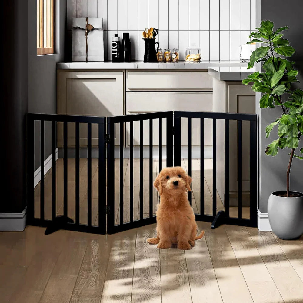 Pets Bed & Furniture