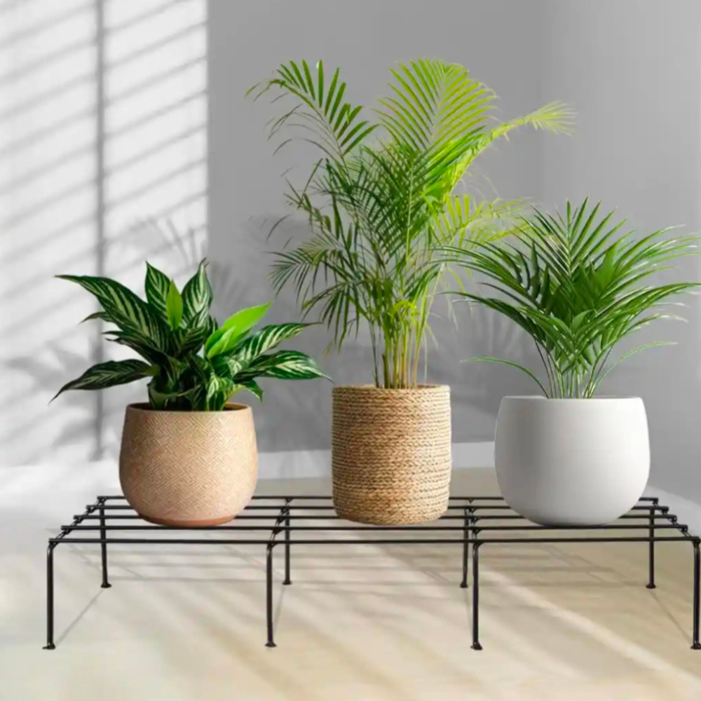Plant stand 