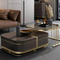 Luxurious Nesting Center Table with Storage and Glass Top - Modern Living Room Furniture ( Iron ) - WoodenTwist