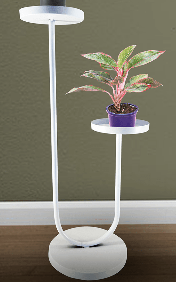 Indoor or outdoor display