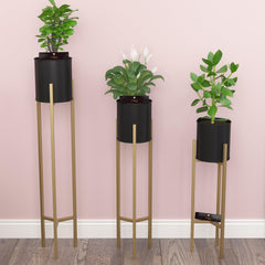 Metal Plant Stand Rack for Indoor & Outdoor (Black & Golden Set Of 3) - WoodenTwist