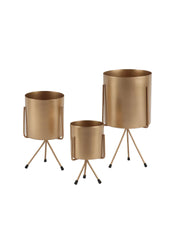 Votive Planter Set of 3 - WoodenTwist