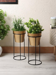 Big Pot Shape Planter Black & Gold (Set of 2) - WoodenTwist