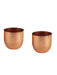 Copper Small Plating Planter (Set of 2) - WoodenTwist