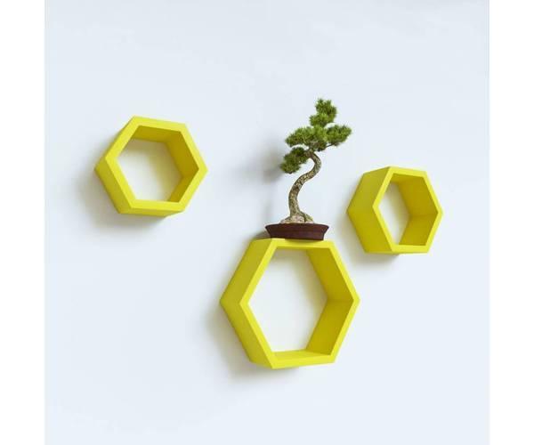Wall Mounted wooden shelves