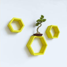 Wall Mounted wooden shelves