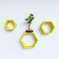 Decorative Hexagonal Wooden Floating Wall Shelves Set of 3 with decor - WoodenTwist