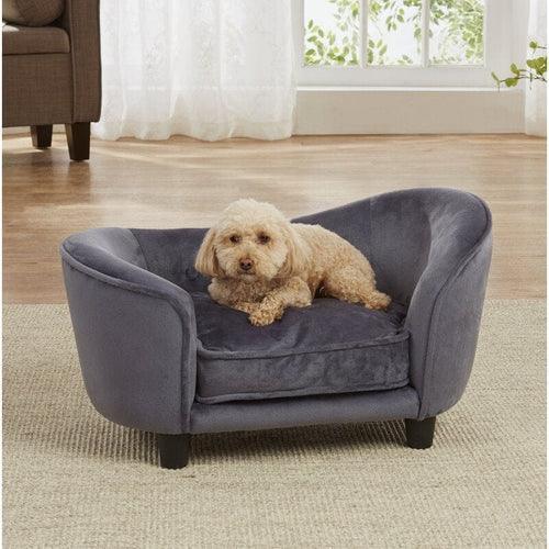 A Touch of Glam for Your Dog