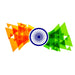 Independence Day Special "India Flag" Decorative Wall Sticker - WoodenTwist