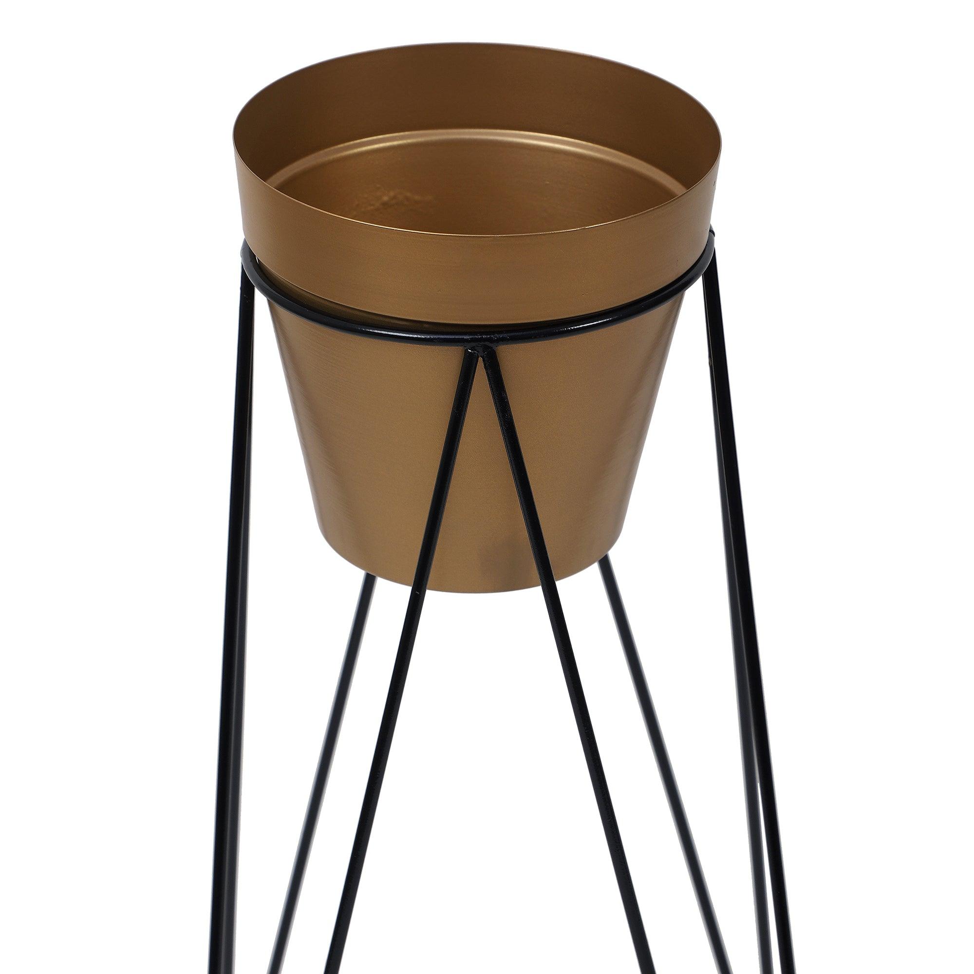 Big Pot Shape Planter Black & Gold with Wide Stand (Set of 2) - WoodenTwist