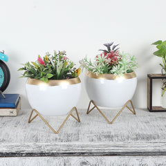 Apple Shape Metal White & Gold Planter (Set of 2) - WoodenTwist