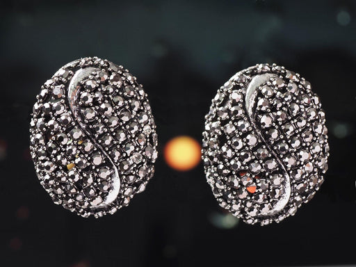 Sparkling Earrings in Premium quality - WoodenTwist