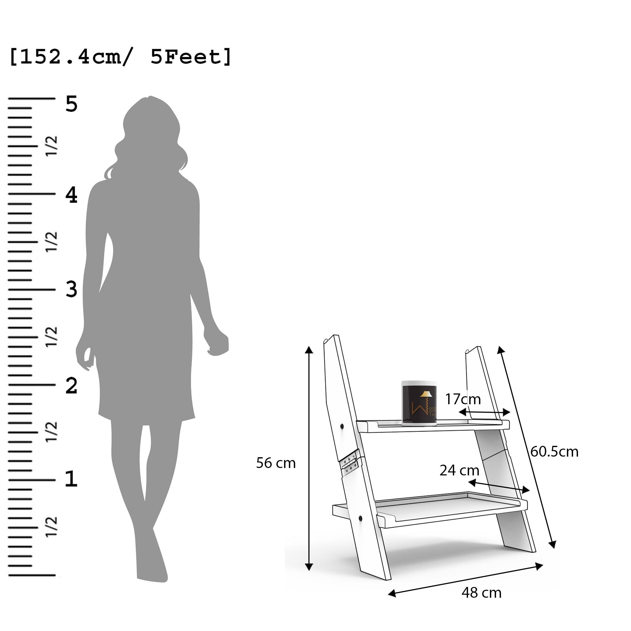 Leaning Bookcase Ladder and Room Organizer - WoodenTwist