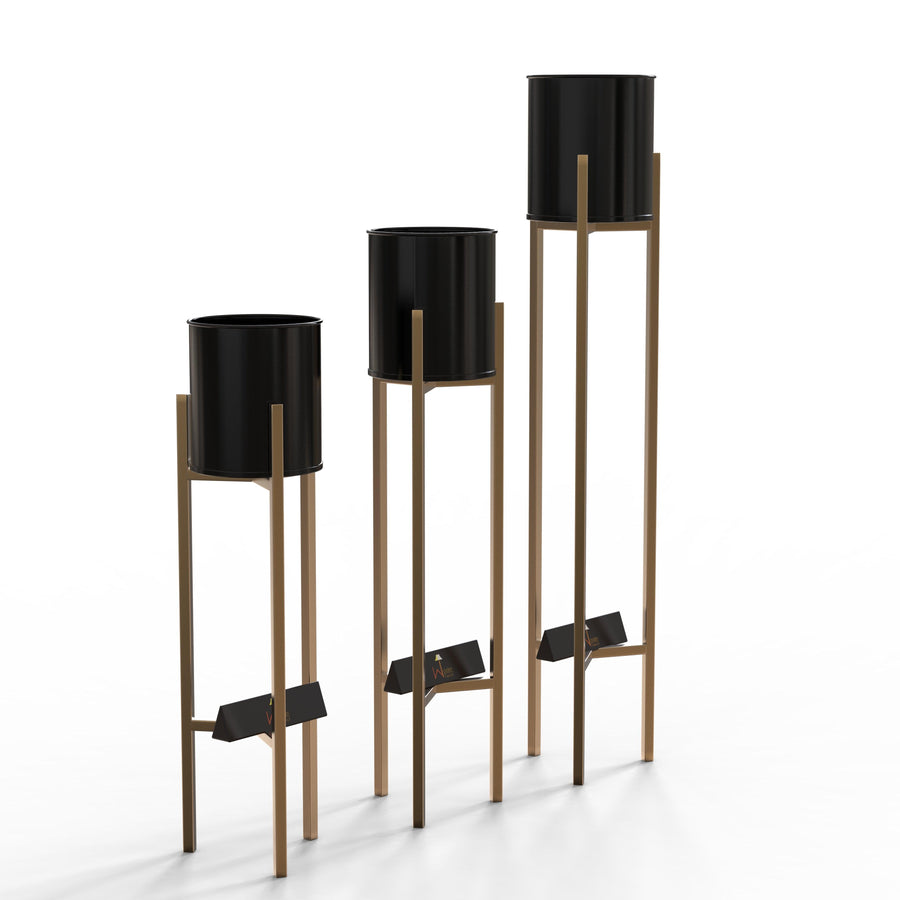 Black & Golden Finish