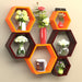 Hexagonal Shape Wooden Floating Wall Shelves (Set of 6) - WoodenTwist