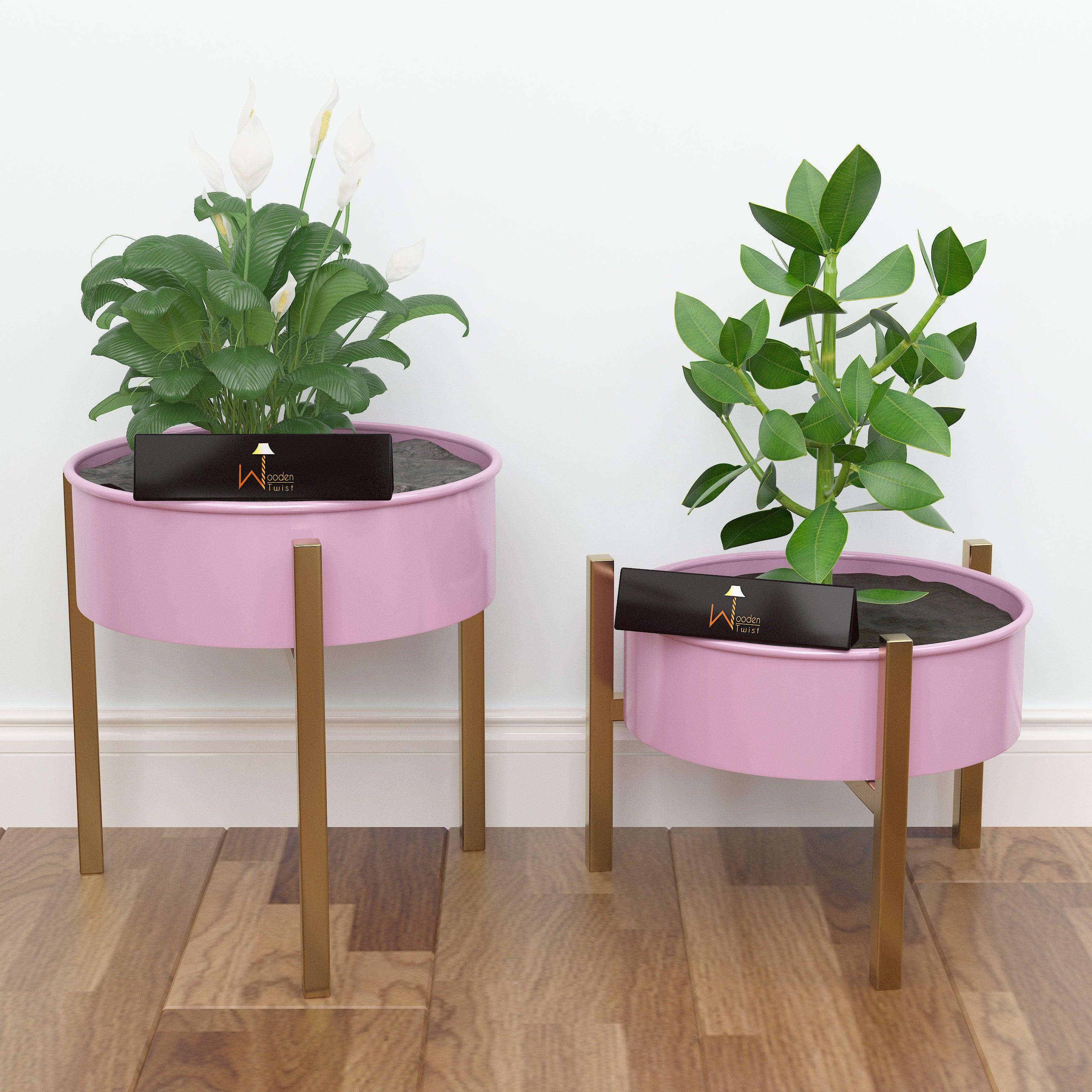 Modern Champagne Planter Stand (Set of 2) - WoodenTwist