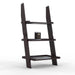 Escalera Leaning Bookcase Ladder and Room Organizer - WoodenTwist