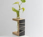 Prakriti Mango Wood Succulent Holder with 1 Test tube - WoodenTwist
